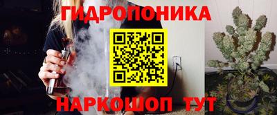 крисы Балаково
