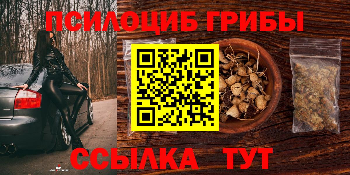 Галлюциногенные грибы ЛСД Губаха